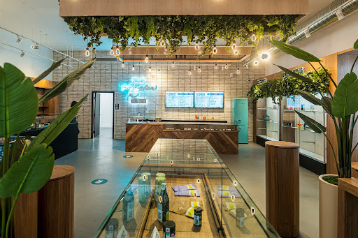 A brightly lit cannabis store with a lot of plants, service counter, and a neon sign.